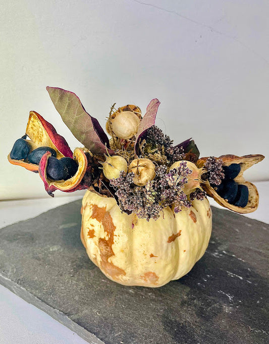 Dried flower mini pumpkins