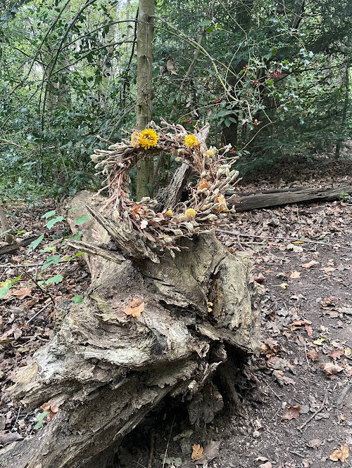 Autumn collection