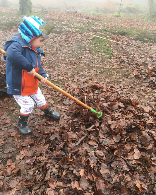 Leaf preservation and pumpkin decoration - Saturday 7th November