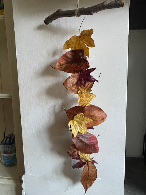 Leaf preservation and pumpkin decoration - Saturday 7th November