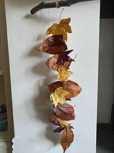Decorative hanging with dried leaves on a white wall