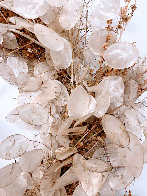 Lunaria and dried mixed grasses wreath with Christmas bow 40cm