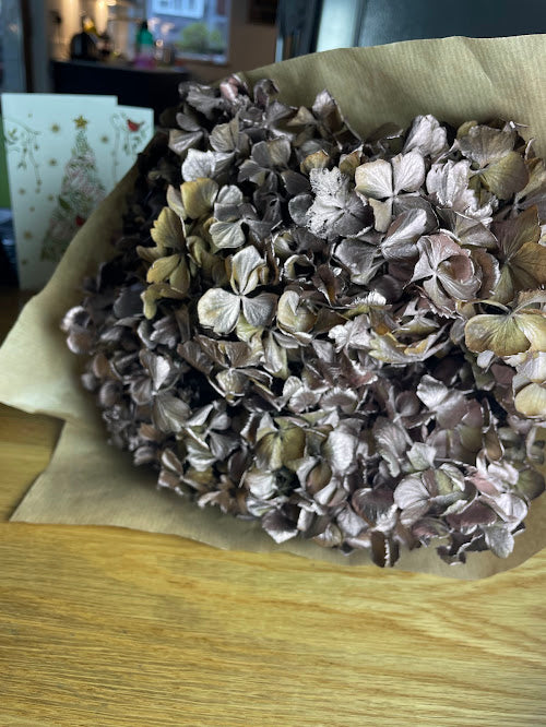 Rose gold sprayed dried hydrangea stems - 4 stems minimum
