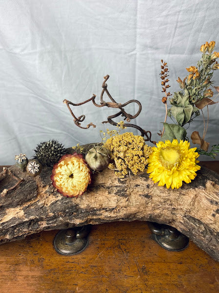 Curve log with yellow flowers - a woodland walk in the Springtime