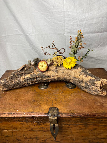 Curve log with yellow flowers - a woodland walk in the Springtime