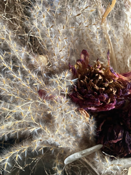 With Honesty - soft grasses with deep purple flowers and lunaria in a cream antique pot